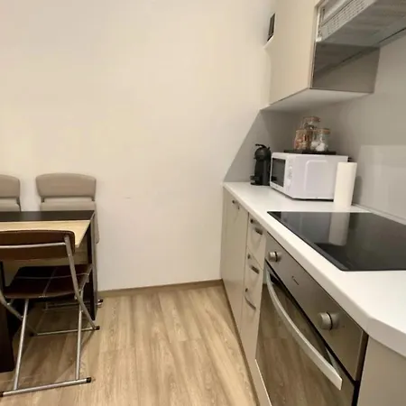Monaco Langevin Terrasse Appartamento *